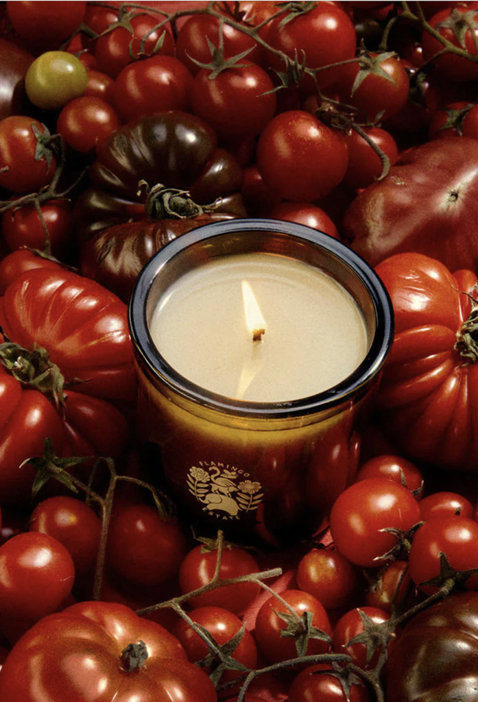 Roma Heirloom Tomato Candle 8oz